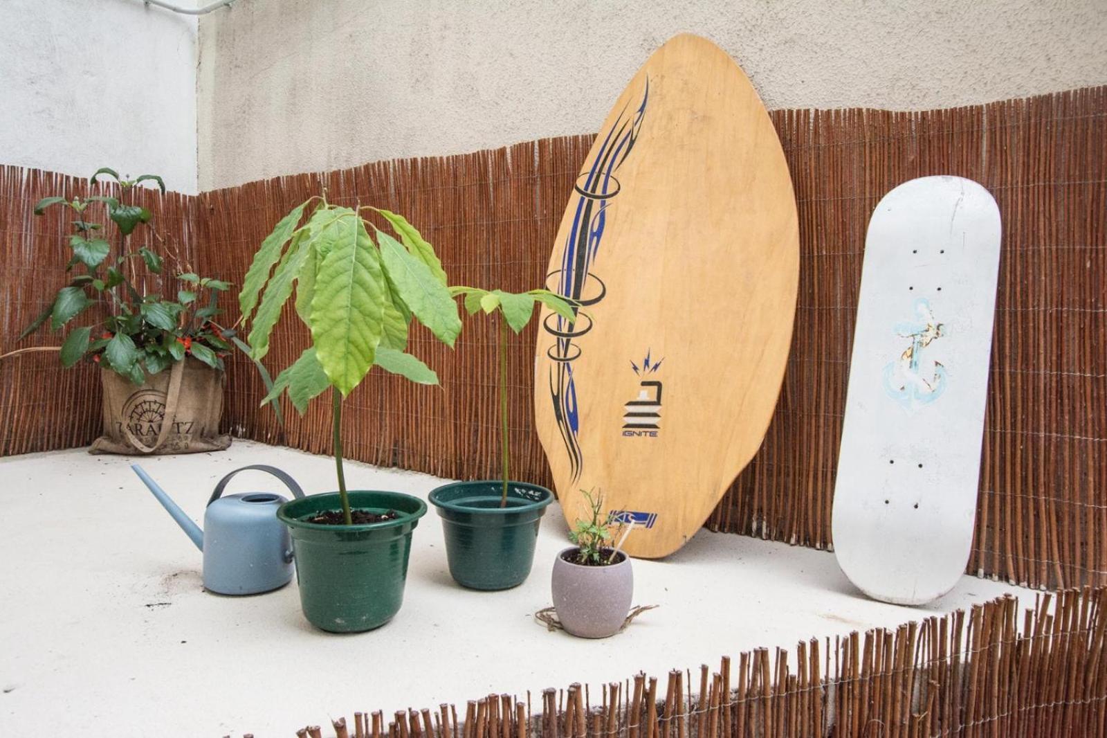 Altzoan Zarauz Tourist Apartments Con Aparcamiento Gratis Екстериор снимка